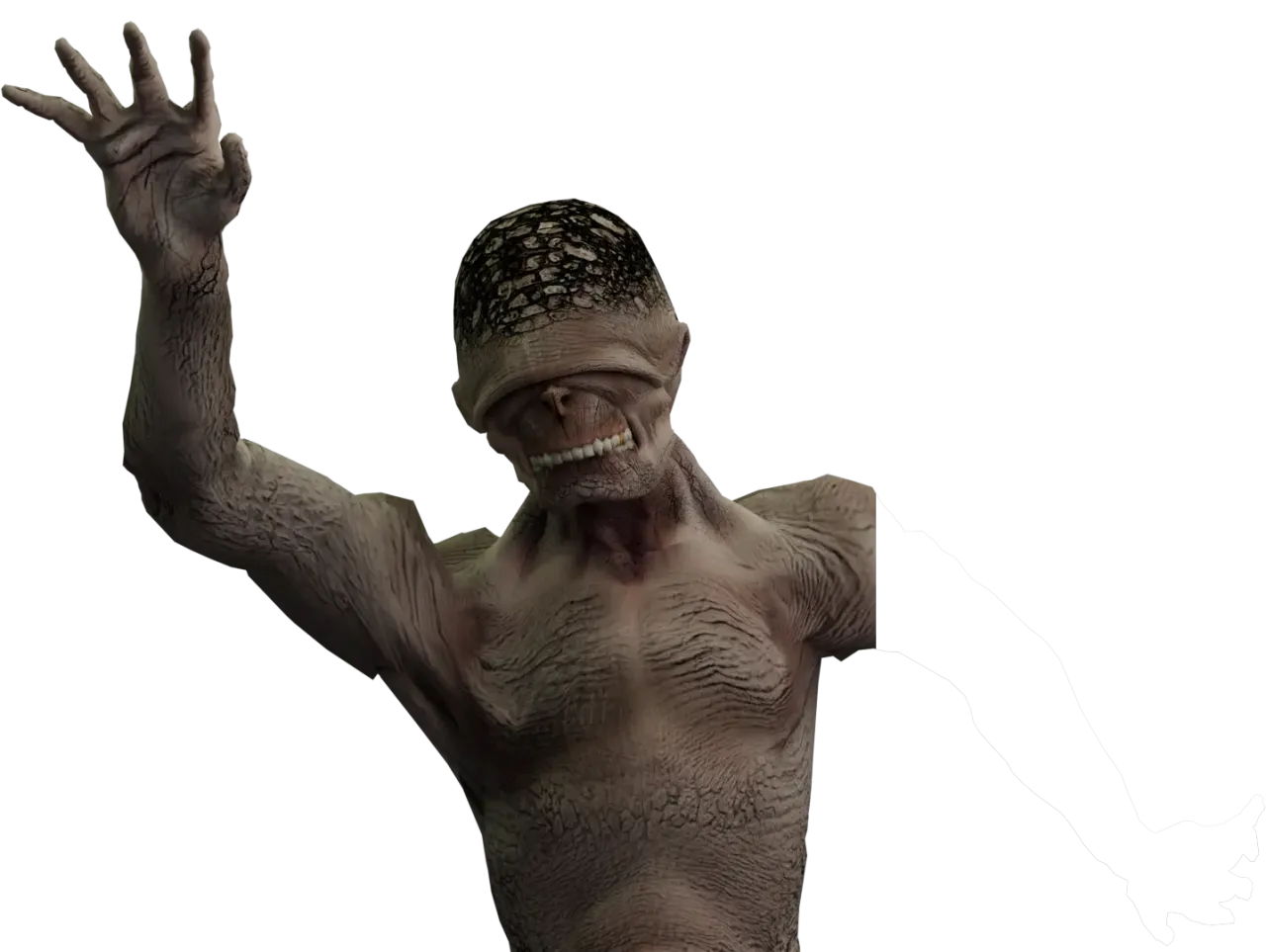 Krustenglatze Body